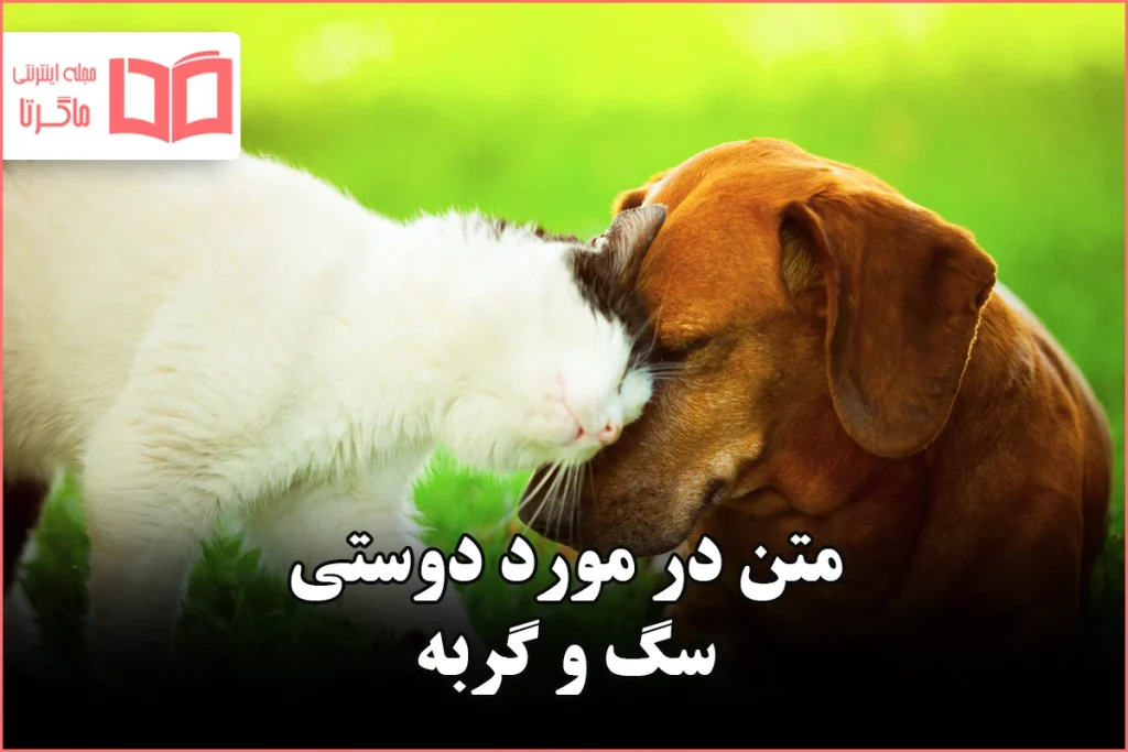 متن در مورد دوستی سگ و گربه