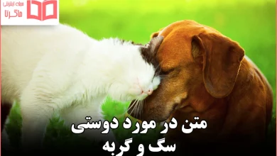 متن در مورد دوستی سگ و گربه