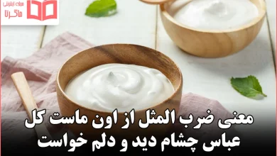 معنی ضرب المثل از اون ماست کل عباس چشام دید و دلم خواست