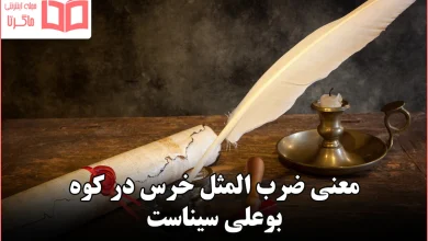 معنی ضرب المثل خرس در کوه بوعلی سیناست