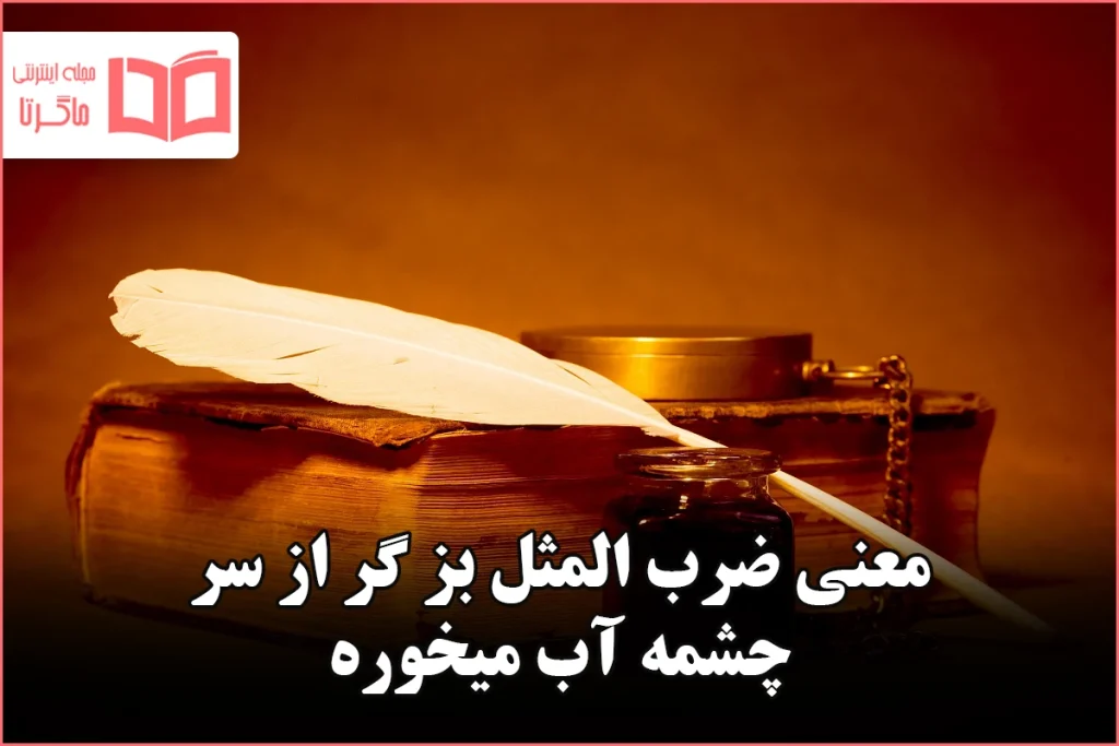 معنی ضرب المثل بز گر از سر چشمه آب میخوره