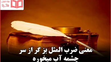 معنی ضرب المثل بز گر از سر چشمه آب میخوره