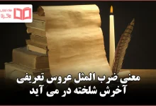 معنی ضرب المثل عروس تعریفی آخرش شلخته در می آید