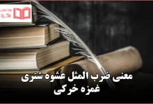 معنی ضرب المثل عشوه شتری غمزه خرکی