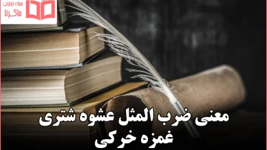 معنی ضرب المثل عشوه شتری غمزه خرکی