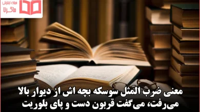 معنی ضرب المثل سوسکه بچه اش از دیوار بالا می‌رفت، می‌گفت قربون دست و پای بلوریت