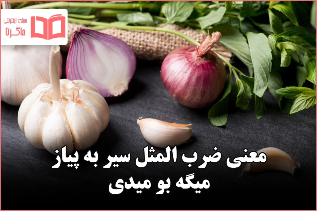 معنی ضرب المثل سیر به پیاز میگه بو میدی