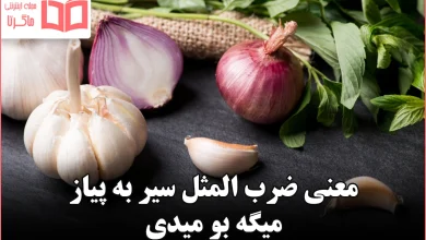 معنی ضرب المثل سیر به پیاز میگه بو میدی