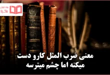 معنی ضرب المثل کارو دست میکنه اما چشم میترسه