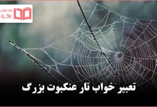 تعبیر خواب تار عنکبوت بزرگ