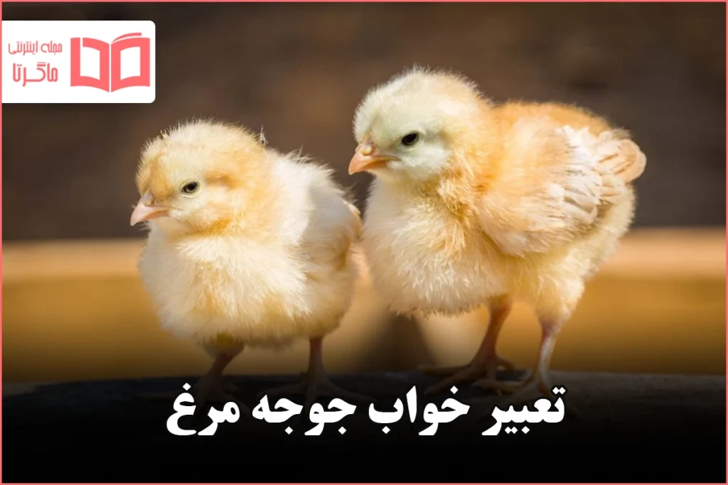 تعبیر خواب جوجه مرغ