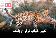 تعبیر خواب فرار از پلنگ