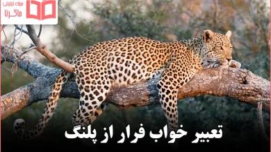 تعبیر خواب فرار از پلنگ