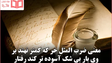 معنی ضرب المثل خر که کمتر نهند بر وی بار بی شک آسوده تر کند رفتار