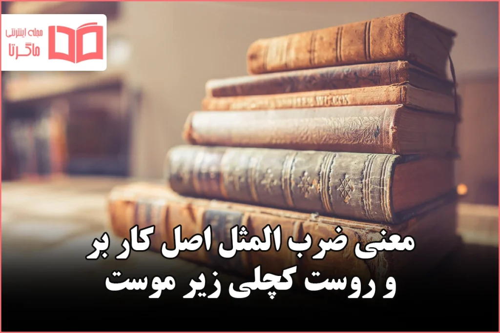 معنی ضرب المثل اصل کار بر و روست کچلی زیر موست