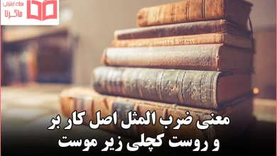 معنی ضرب المثل اصل کار بر و روست کچلی زیر موست