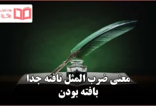 معنی ضرب المثل تافته جدا بافته بودن