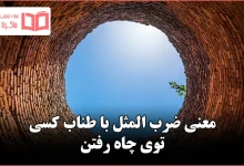 معنی ضرب المثل با طناب کسی توی چاه رفتن