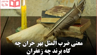 معنی ضرب المثل بهر خران چه کاه برند چه زعفران