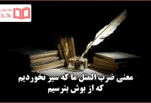 معنی ضرب المثل ما که سیر نخوردیم که از بوش بترسیم