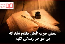 معنی ضرب المثل یکدم نشد که بی سر خر زندگی کنیم