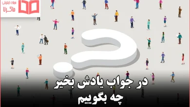 در جواب یادش بخیر چه بگوییم