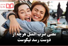 معنی ضرب المثل هرچه از دوست رسد نیکوست