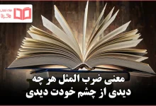 معنی ضرب المثل هر چه دیدی از چشم خودت دیدی