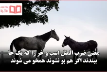 معنی ضرب المثل اسب و خر را که یک جا ببندند اگر هم بو نشوند همخو می شوند