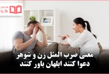 معنی ضرب المثل زن و شوهر دعوا کنند ابلهان باور کنند