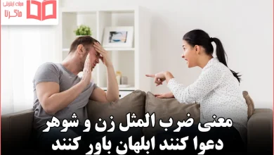 معنی ضرب المثل زن و شوهر دعوا کنند ابلهان باور کنند