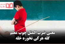 معنی ضرب المثل چوب معلم گله هرکی نخوره خله