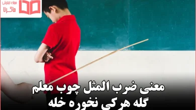 معنی ضرب المثل چوب معلم گله هرکی نخوره خله