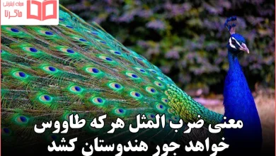 معنی ضرب المثل هرکه طاووس خواهد جور هندوستان کشد