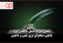 معنی ضرب المثل با همین پرو پاچین میخوای بری چین و ماچین