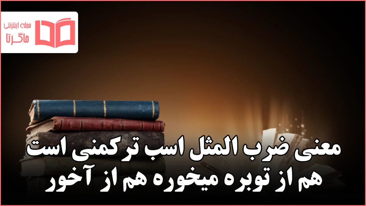 معنی ضرب المثل اسب ترکمنی است هم از توبره میخوره هم از آخور 🐎+ تاریخچه ...