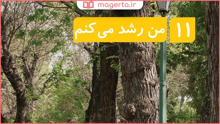 جواب فصل یازدهم علوم تجربی دوم