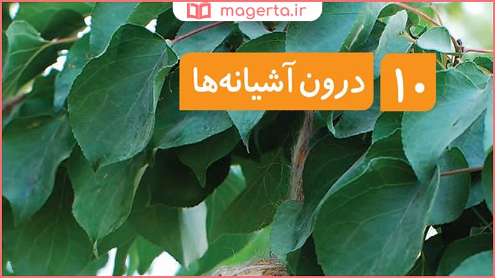 جواب فصل دهم علوم تجربی دوم