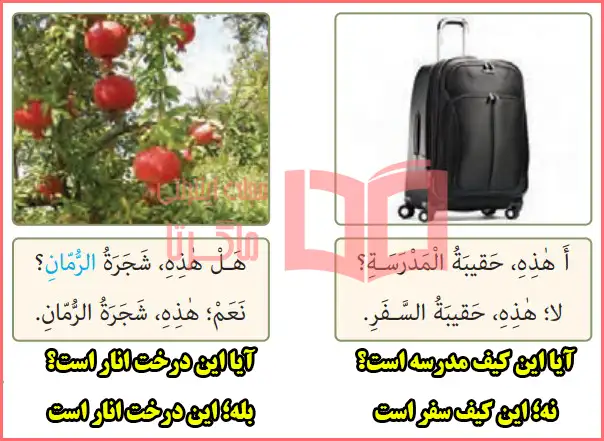 معنی متن بخش هل؟ أَ؟ نعم - لا صفحه ۵۵ درس هفتم عربی هفتم