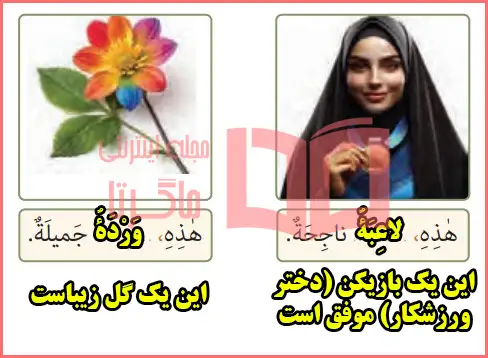 جواب تمرین دوم صفحه ۴۸ درس ۶ عربی هفتم