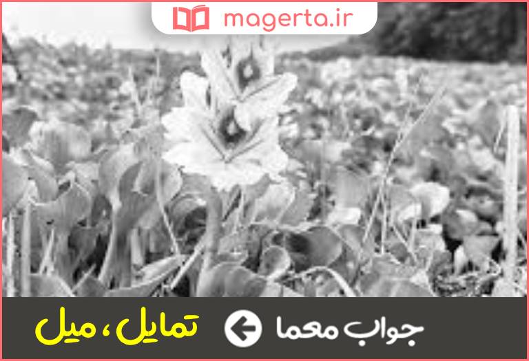 جواب معما گیرایش و کشندگی در جدول