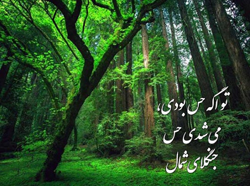 عکس نوشته زیبا و احساسی درباره شمال و سفر به شمال