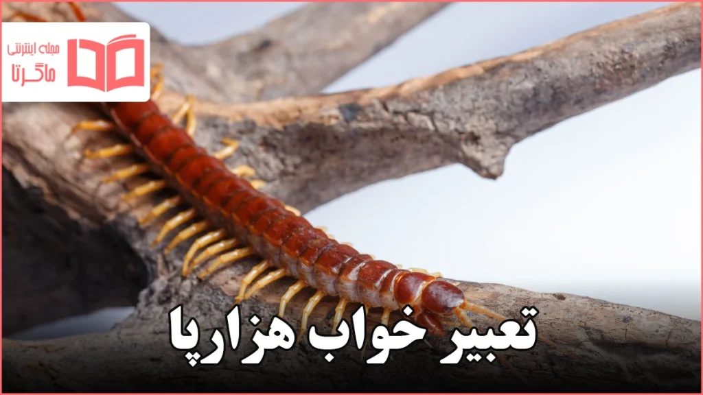 تعبیر خواب هزارپا