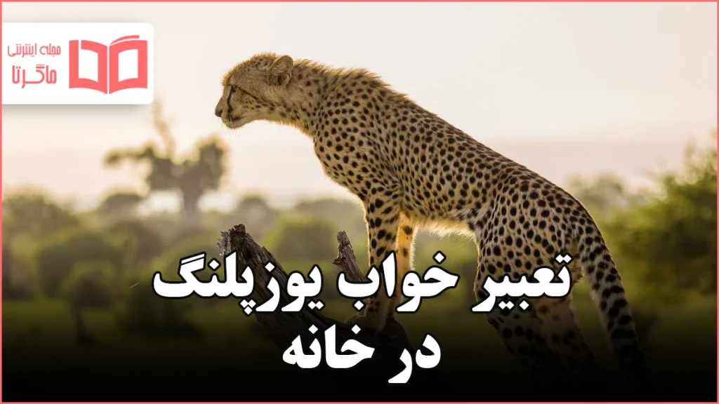 تعبیر خواب یوزپلنگ در خانه