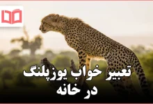 تعبیر خواب یوزپلنگ در خانه