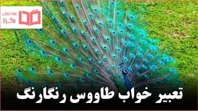 تعبیر خواب طاووس رنگارنگ