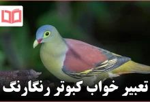 تعبیر خواب کبوتر رنگارنگ