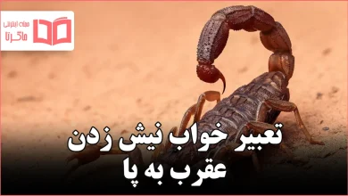 تعبیر خواب نیش زدن عقرب به پا