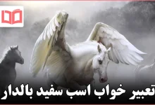 تعبیر خواب اسب سفید بالدار