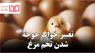 تعبیر خواب جوجه شدن تخم مرغ